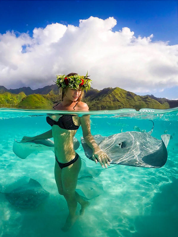 Moorea lagoon snorkeling Moorea lagoon snorkeling